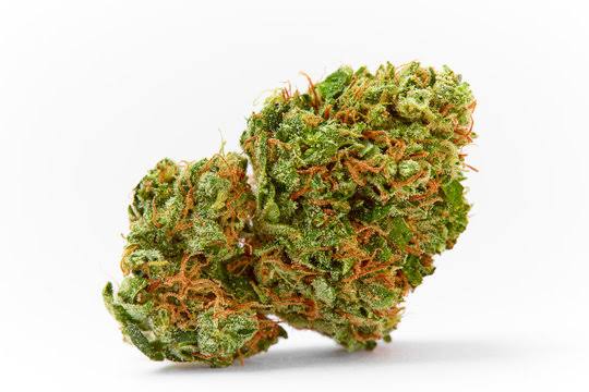 CBD Oil 10%