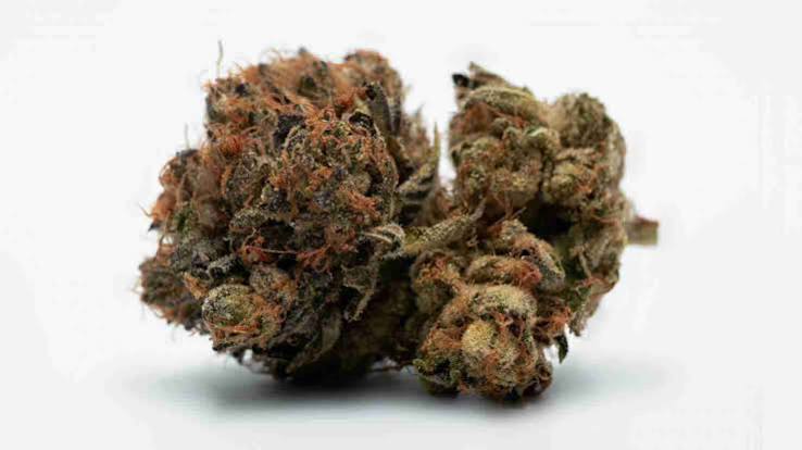 White Widow